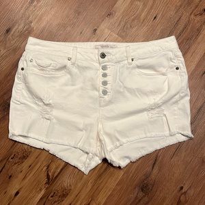 Brand New Torrid Shorts